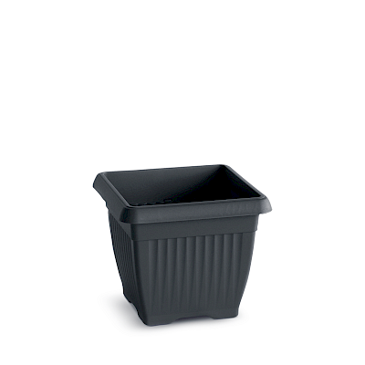DKWT15