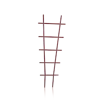 IDR1