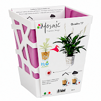 Mosaic Quadro 17 White/Purple
