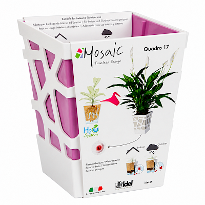 Mosaic Quadro 17 White/Purple