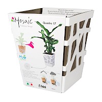 Mosaic Quadro 17 White/Taupe
