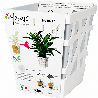 Mosaic Quadro 17 White/Ash Sky Blue