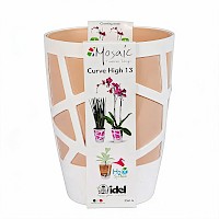 Mosaic Curve High 13 White/Sand