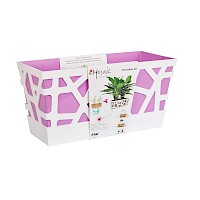 Mosaic FlowerBox 40 White/Purple